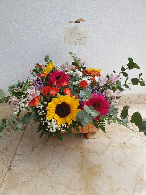 Sherbet Twist delivered by Centro de Jardineria y Floristeria Naturplant SL in Benidoleig