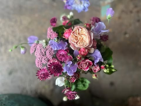 Enchanted blooms