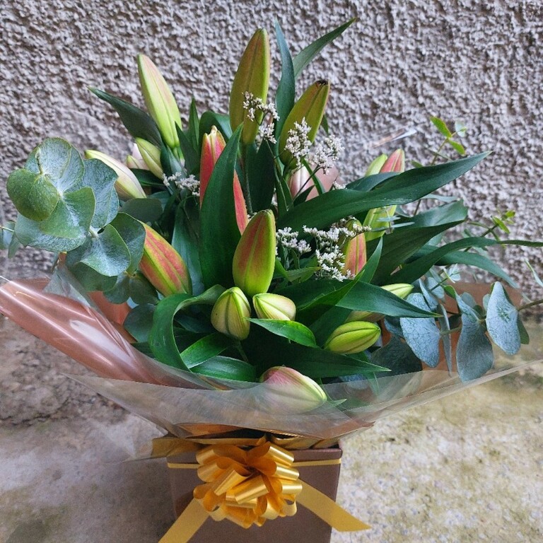 Dream lilies