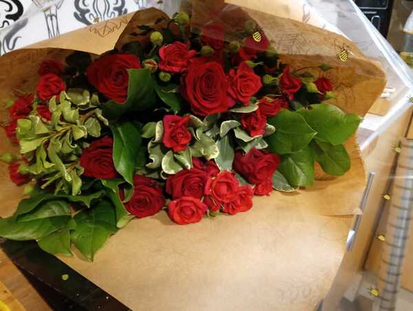 Red roses delight