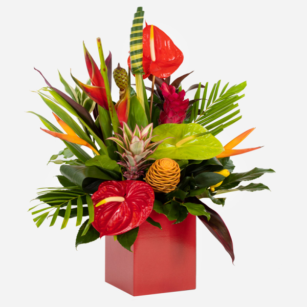 Tropical passion