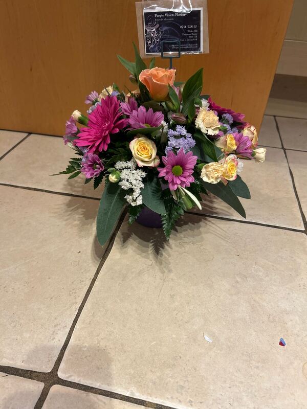 Cotton Candy delivered by Purple Violets Floristry 7 days ago