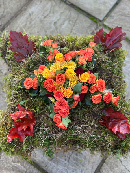 Autumn cushion