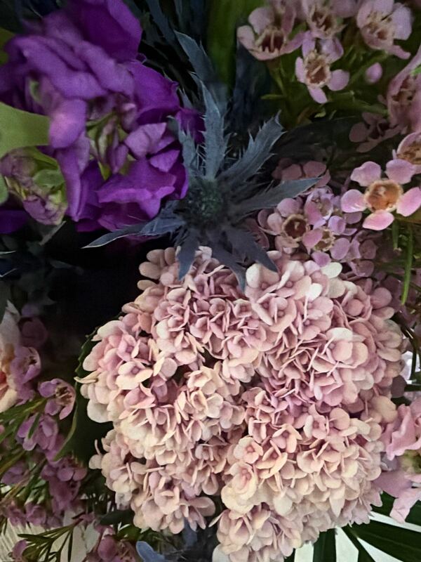 Grand Affection delivered by Mayflower Bloom 4 days ago