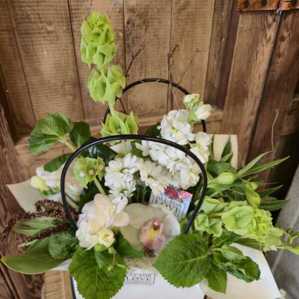 Quiet Thoughts delivered by All For Love Flowers 11 days ago